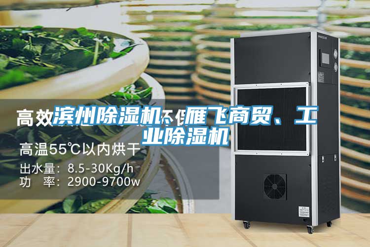 濱州除濕機、雁飛商貿、工業除濕機