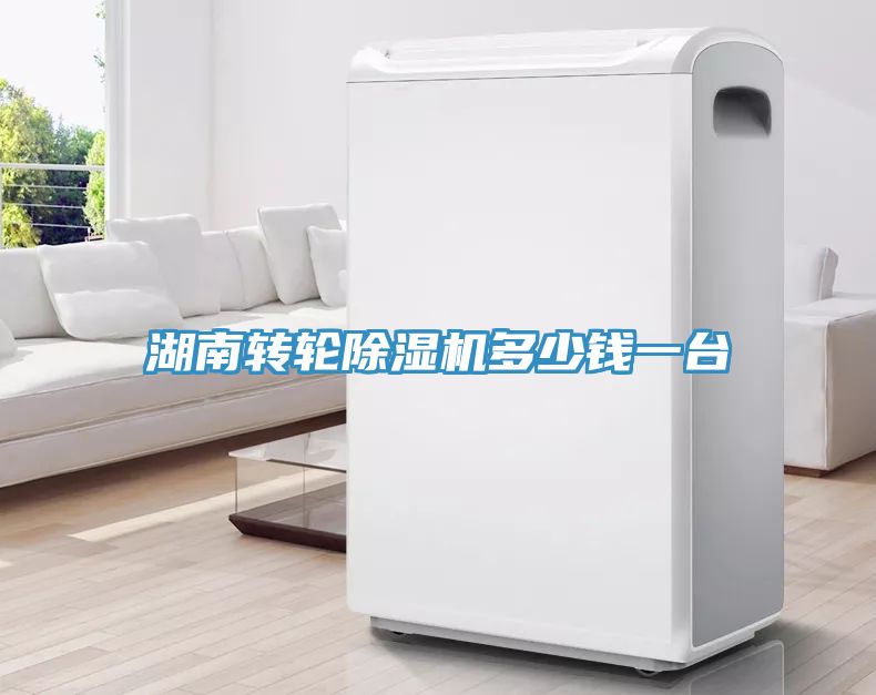 湖南轉輪除濕機多少錢一臺