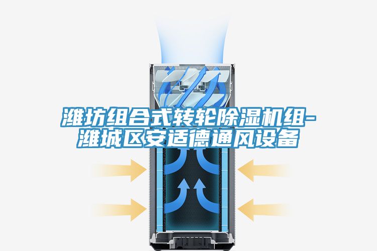濰坊組合式轉輪除濕機組-濰城區安適德通風設備