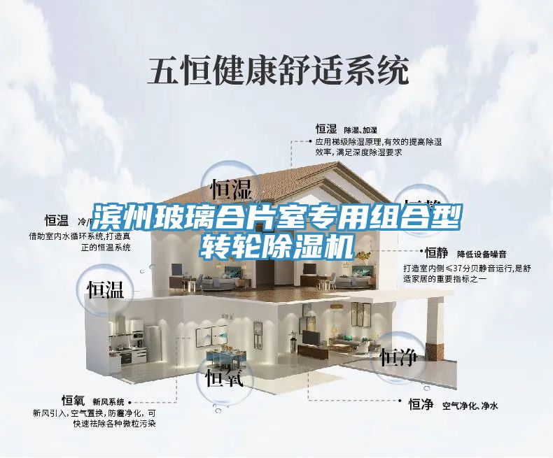 濱州玻璃合片室專用組合型轉輪除濕機