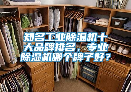 知名工業(yè)除濕機(jī)十大品牌排名，專業(yè)除濕機(jī)哪個牌子好？