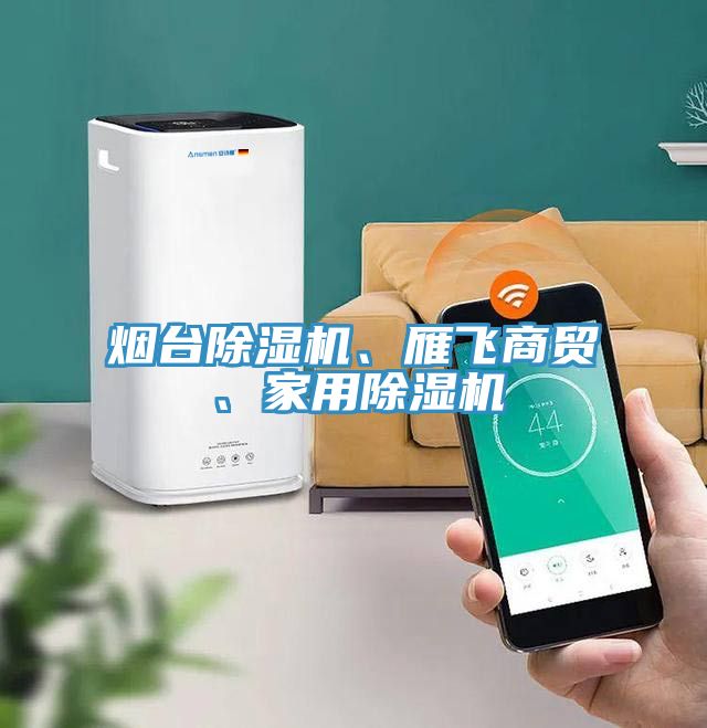 煙臺除濕機、雁飛商貿(mào)、家用除濕機