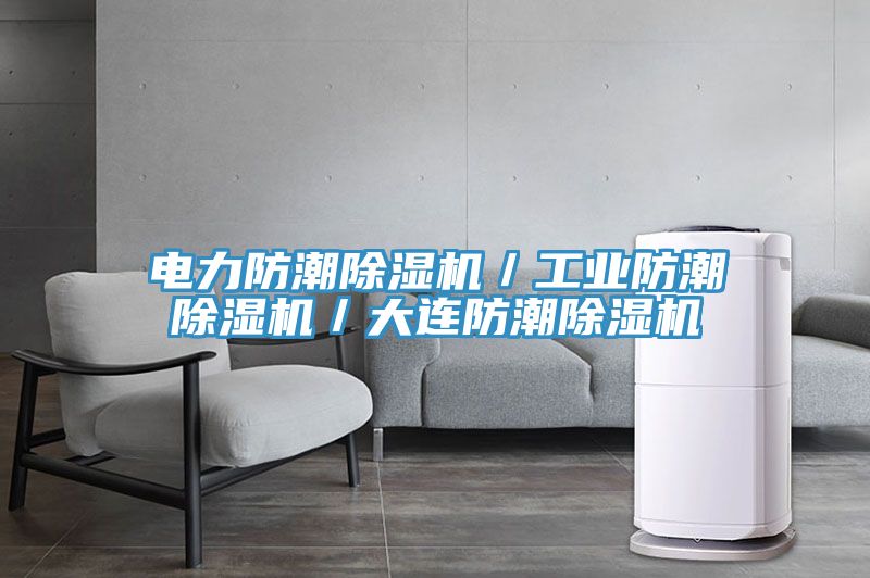 電力防潮除濕機／工業防潮除濕機／大連防潮除濕機