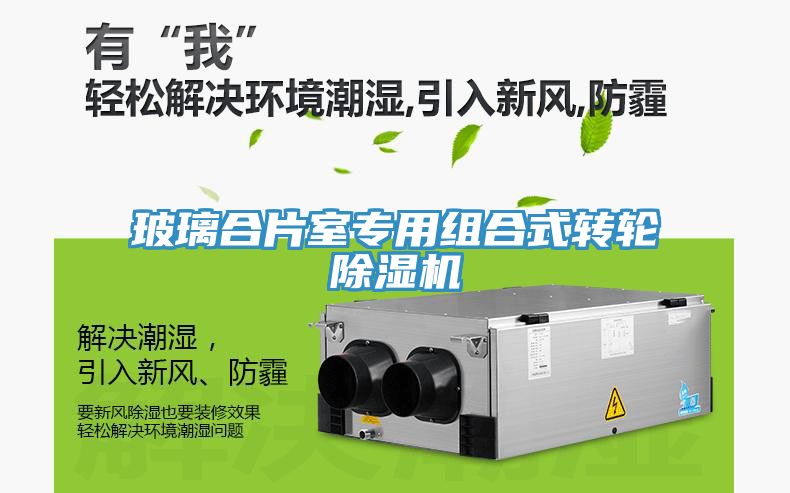 玻璃合片室專用組合式轉輪除濕機