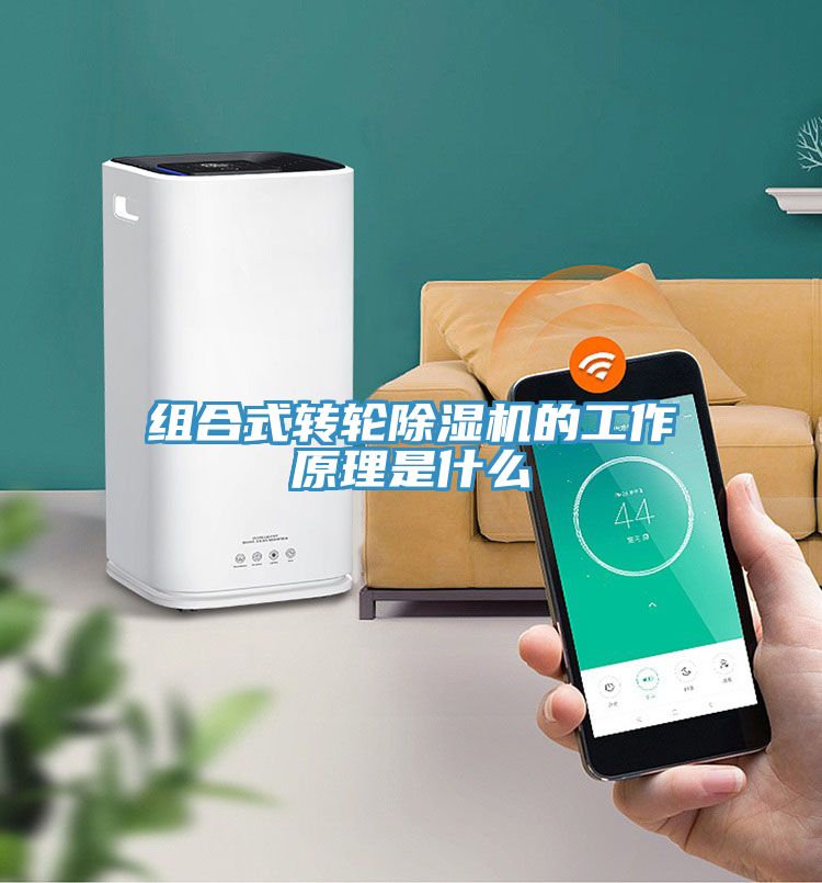 組合式轉(zhuǎn)輪除濕機(jī)的工作原理是什么