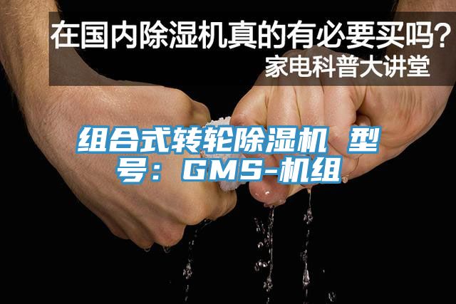 組合式轉(zhuǎn)輪除濕機(jī) 型號(hào)：GMS-機(jī)組