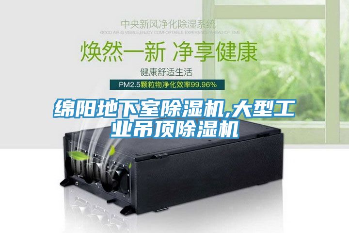 綿陽地下室除濕機,大型工業吊頂除濕機