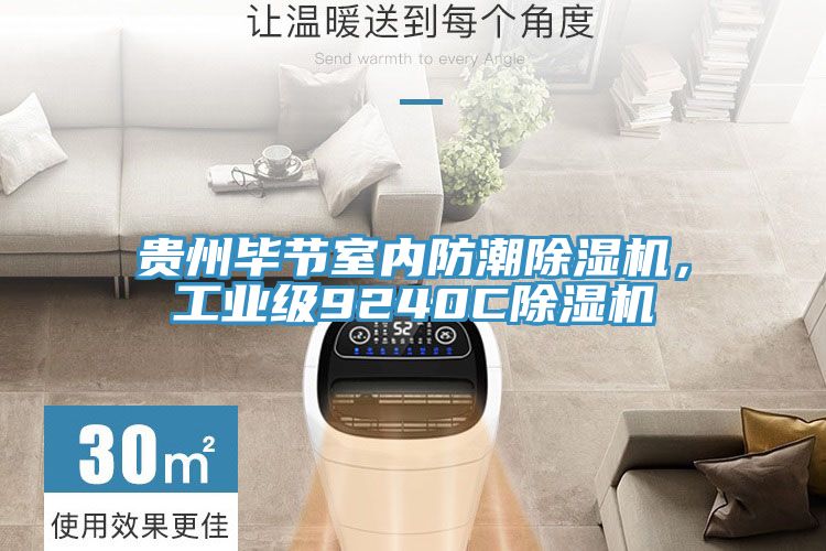 貴州畢節(jié)室內(nèi)防潮除濕機(jī)，工業(yè)級(jí)9240C除濕機(jī)