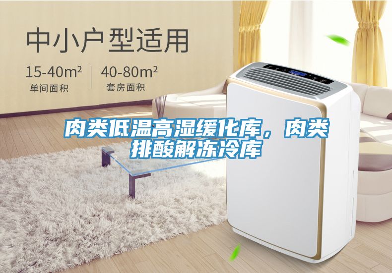 肉類低溫高濕緩化庫(kù)，肉類排酸解凍冷庫(kù)
