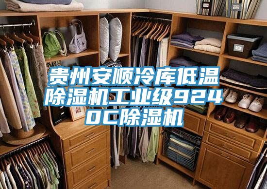 貴州安順冷庫低溫除濕機(jī)工業(yè)級(jí)9240C除濕機(jī)
