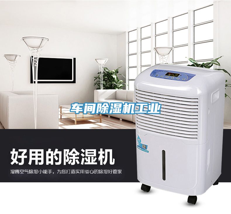 車(chē)間除濕機(jī)工業(yè)