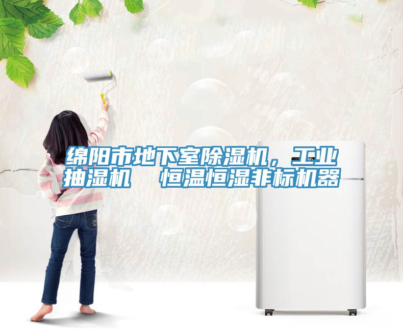 綿陽市地下室除濕機，工業抽濕機  恒溫恒濕非標機器