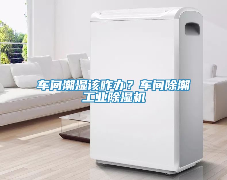 車間潮濕該咋辦？車間除潮工業(yè)除濕機(jī)