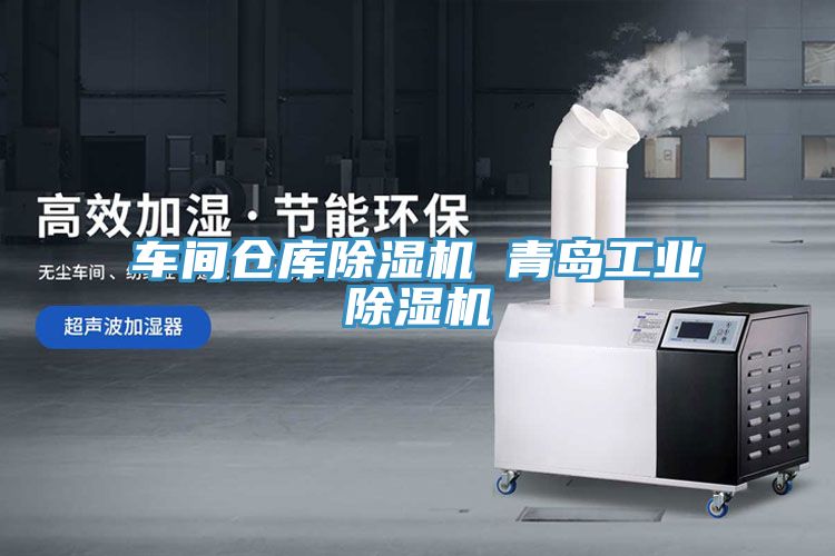 車間倉(cāng)庫(kù)除濕機(jī) 青島工業(yè)除濕機(jī)