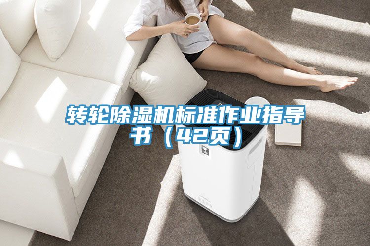 轉(zhuǎn)輪除濕機標準作業(yè)指導書（42頁）