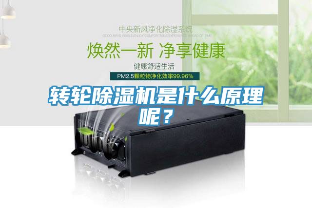 轉(zhuǎn)輪除濕機(jī)是什么原理呢？