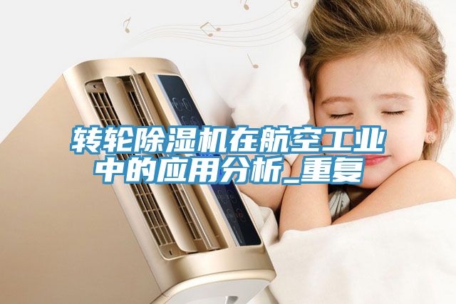 轉(zhuǎn)輪除濕機在航空工業(yè)中的應用分析_重復