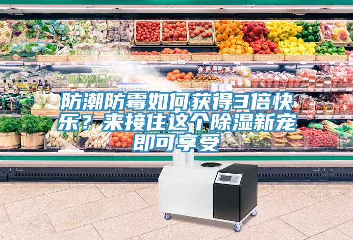 防潮防霉如何獲得3倍快樂？來接住這個除濕新寵即可享受