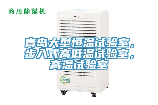 青島大型恒溫試驗室，步入式高低溫試驗室，高溫試驗室