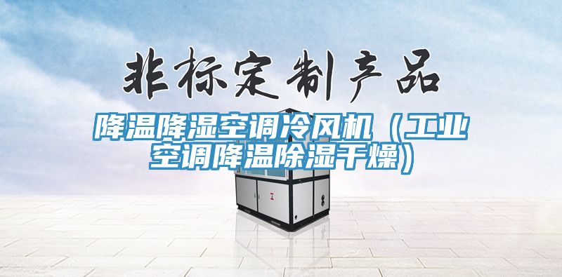 降溫降濕空調冷風機（工業空調降溫除濕干燥）