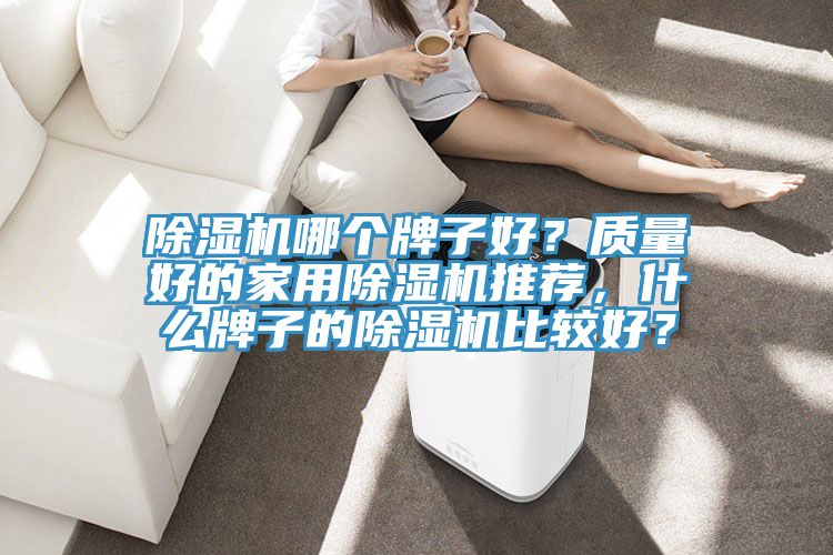 除濕機(jī)哪個牌子好？質(zhì)量好的家用除濕機(jī)推薦，什么牌子的除濕機(jī)比較好？