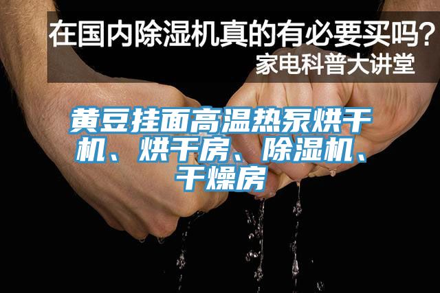 黃豆掛面高溫?zé)岜煤娓蓹C(jī)、烘干房、除濕機(jī)、干燥房