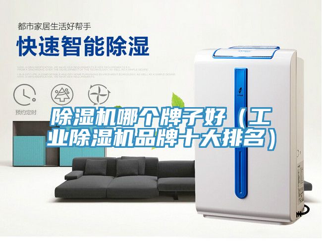 除濕機(jī)哪個牌子好（工業(yè)除濕機(jī)品牌十大排名）