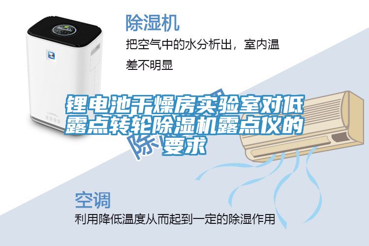 鋰電池干燥房實驗室對低露點轉輪除濕機露點儀的要求