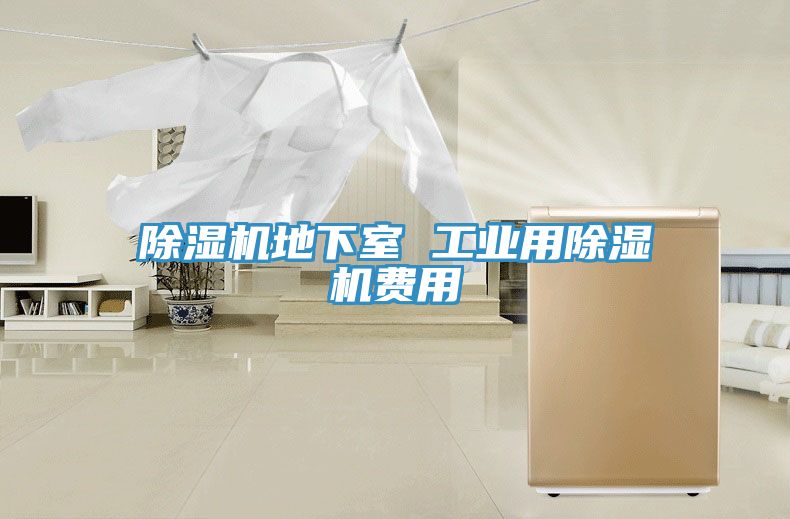 除濕機(jī)地下室 工業(yè)用除濕機(jī)費用