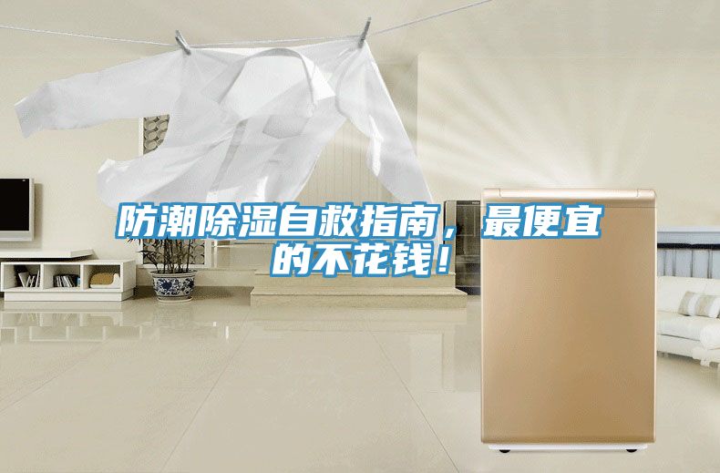 防潮除濕自救指南，最便宜的不花錢！