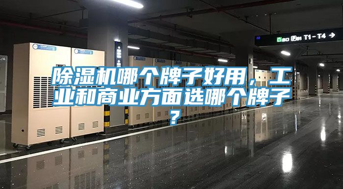除濕機哪個牌子好用，工業和商業方面選哪個牌子？