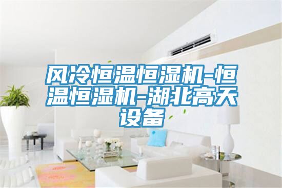 風(fēng)冷恒溫恒濕機-恒溫恒濕機-湖北高天設(shè)備