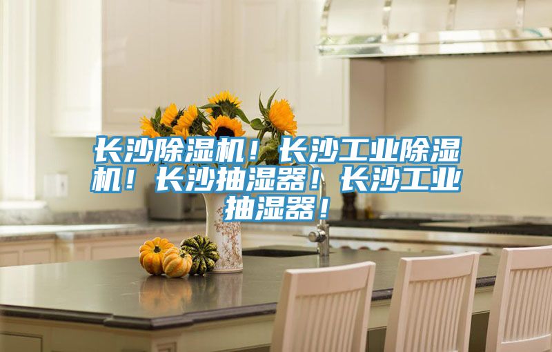 長沙除濕機！長沙工業(yè)除濕機！長沙抽濕器！長沙工業(yè)抽濕器！