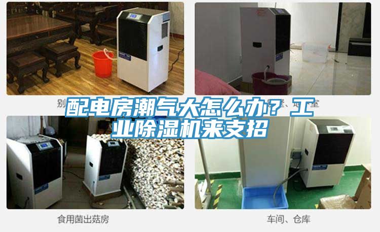 配電房潮氣大怎么辦？工業(yè)除濕機來支招