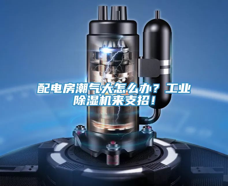 配電房潮氣大怎么辦？工業(yè)除濕機來支招！