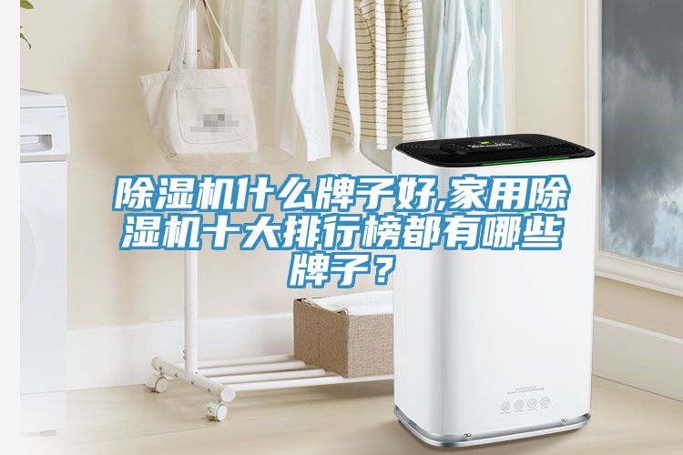 除濕機什么牌子好,家用除濕機十大排行榜都有哪些牌子？