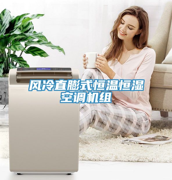 風(fēng)冷直膨式恒溫恒濕空調(diào)機組