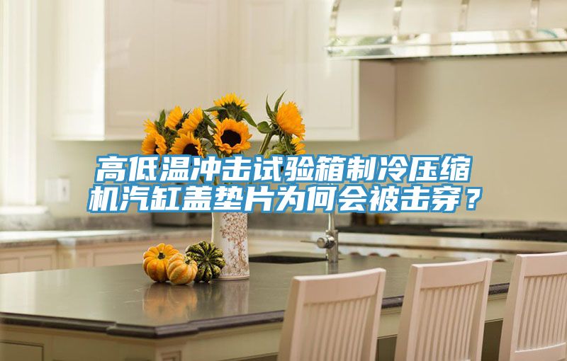 高低溫沖擊試驗箱制冷壓縮機汽缸蓋墊片為何會被擊穿？