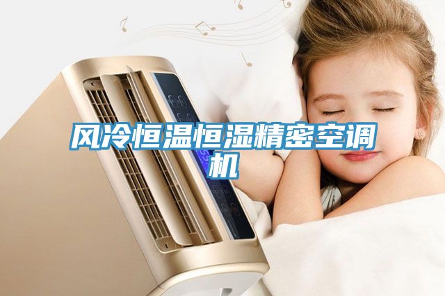 風(fēng)冷恒溫恒濕精密空調(diào)機