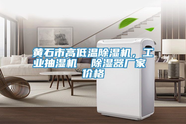 黃石市高低溫除濕機(jī)，工業(yè)抽濕機(jī)  除濕器廠家 價(jià)格