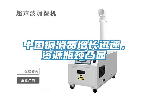 中國銅消費增長迅速，資源瓶頸凸顯