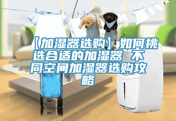 【加濕器選購(gòu)】如何挑選合適的加濕器 不同空間加濕器選購(gòu)攻略