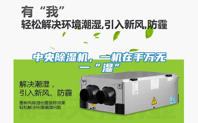 中央除濕機，一機在手萬無一“濕”