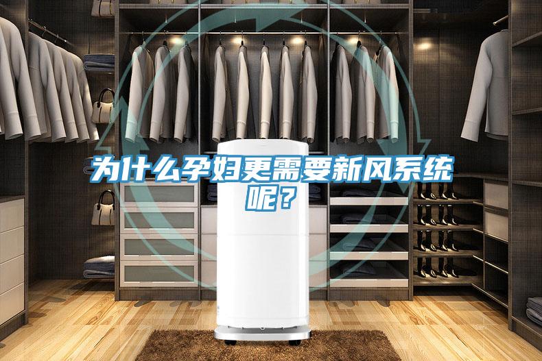 為什么孕婦更需要新風系統呢？