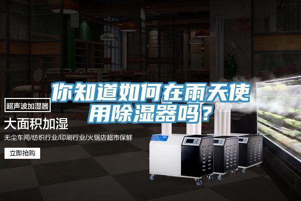 你知道如何在雨天使用除濕器嗎？