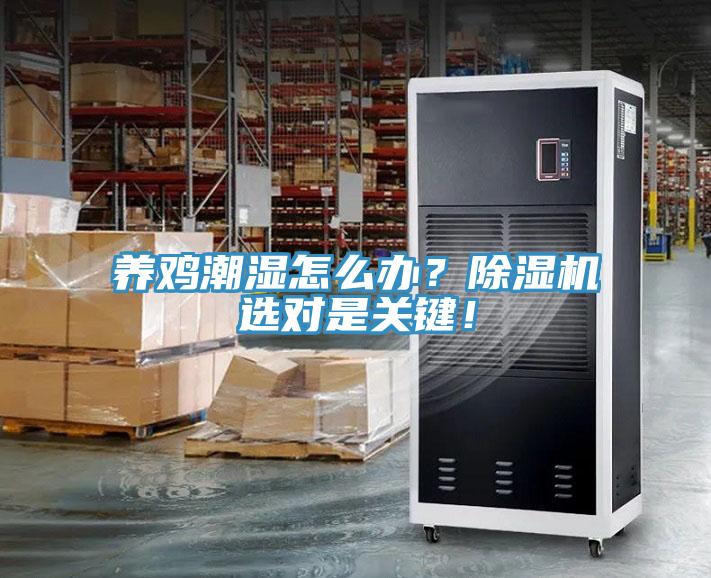 養(yǎng)雞潮濕怎么辦？除濕機(jī)選對(duì)是關(guān)鍵！