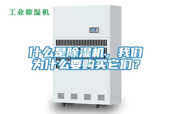 什么是除濕機(jī)，我們?yōu)槭裁匆?gòu)買(mǎi)它們？