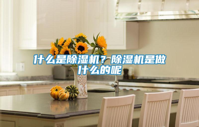 什么是除濕機(jī)？除濕機(jī)是做什么的呢