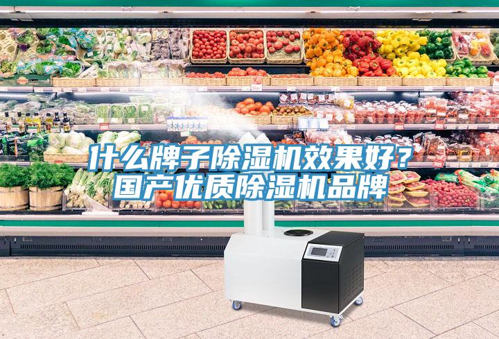 什么牌子除濕機(jī)效果好？國(guó)產(chǎn)優(yōu)質(zhì)除濕機(jī)品牌